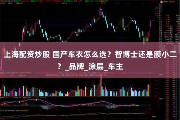 上海配资炒股 国产车衣怎么选？智博士还是膜小二？_品牌_涂层_车主
