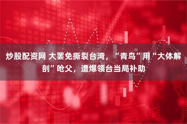 炒股配资网 大罢免撕裂台湾，“青鸟”用“大体解剖”呛父，遭爆领台当局补助