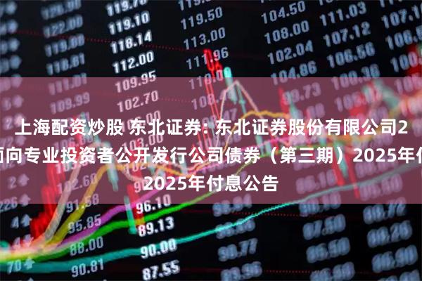 上海配资炒股 东北证券: 东北证券股份有限公司2024年面向专业投资者公开发行公司债券（第三期）2025年付息公告