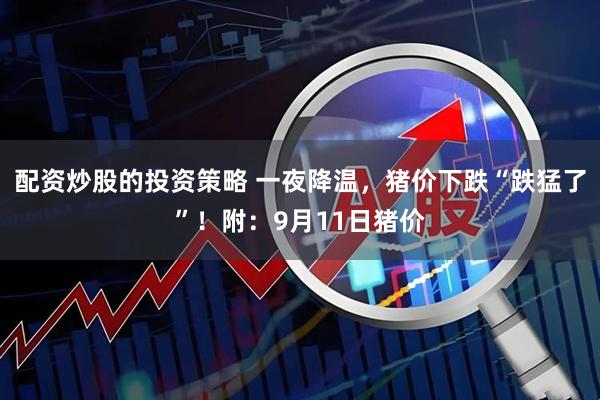 配资炒股的投资策略 一夜降温，猪价下跌“跌猛了”！附：9月11日猪价