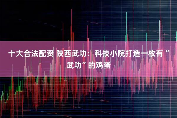 十大合法配资 陕西武功：科技小院打造一枚有“武功”的鸡蛋
